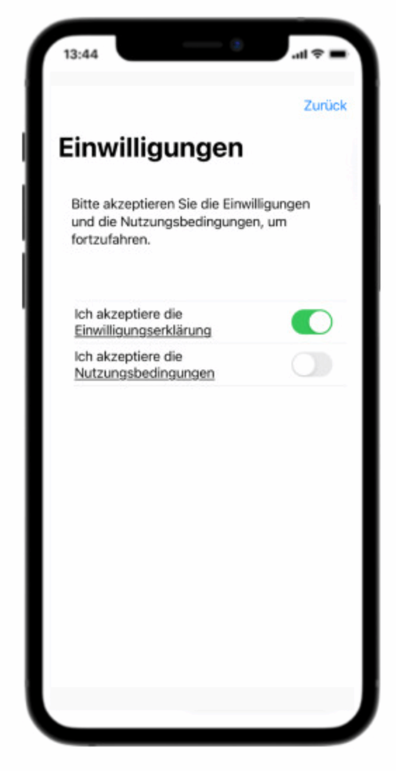 Consent Screenshot